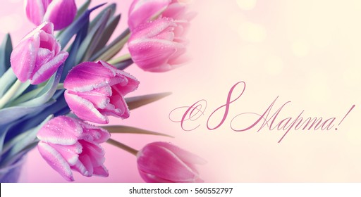 Women's Day greeting card. Beautiful pink tulips.8 march.