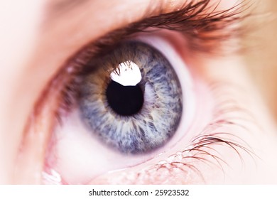 Women's Eye, Macro