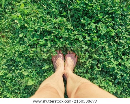 women's feet stand in the green grass of clover. Top view