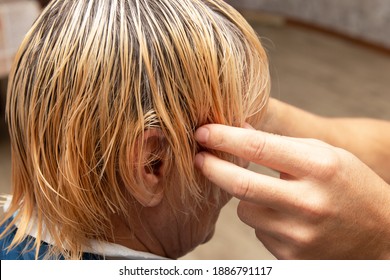 womens haircut with scissors in the salon