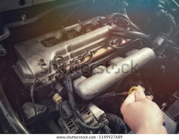 Women\'s hand Check the amount\
of Engine oil Motor car , The symbol of gender equality in\
society.