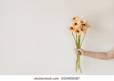 Women's hand holding pastel gerber flowers bouquet over white wall. Aesthetic holiday celebration concept - Powered by Shutterstock