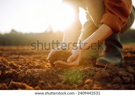 Women's hands sort through black soil in the field. A woman farmer checks the quality of the soil. Ecology, agriculture concept.