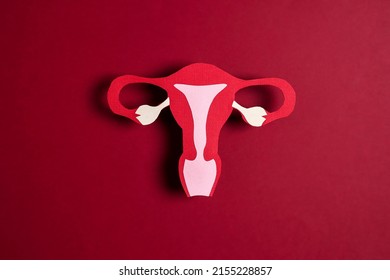 Women's Health Awareness Concept. Uterus Symbol  On Red Background. 