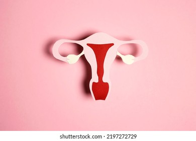 Women's Health Awareness Concept. Uterus Symbol  On Pink Background. 