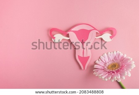 Women's health, reproductive system concept. Decorative model uterus and flower on pink background. Top view, copy space ストックフォト © 