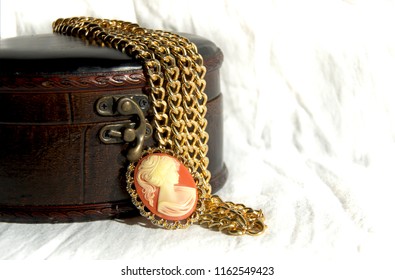 Women's Jewelry And Brown Leather Jewelry Box, Large. Big Gold Chain, Jewelry, Cameo Brooch.