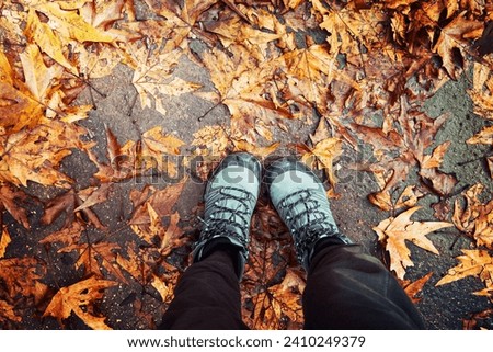 Women's Legs Dressed in Sportive Shoes Standing on Dry Orange Maple Leaves. Body Part. Walking in the Autumnal Park. Autumn Season Concept.