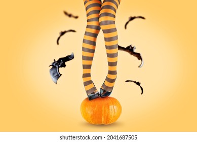 Women's legs in striped stockings on a pumpkin with fly bats. tinting