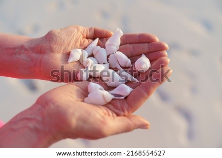 Women's palms with shells on the ocean.