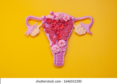 The Women's Reproductive System. The Concept Of Endometriosis Of The Uterus. 