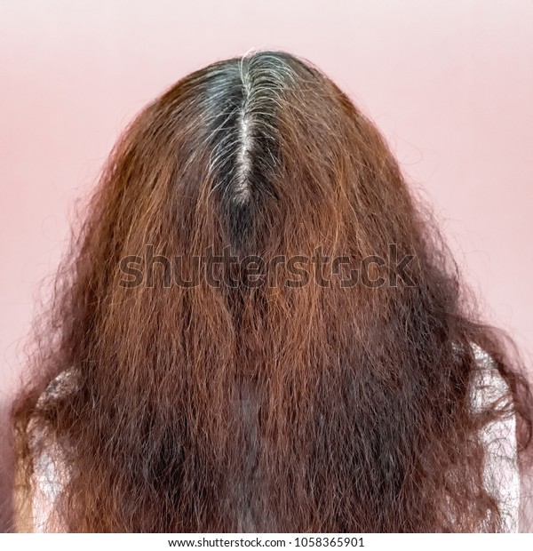 Womens Thick Curly Gray Hair Roots Stock Photo Edit Now 1058365901