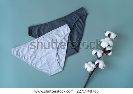 Women's underwear, set of gray underpants, cotton flowers. Simple organic cotton panties, organic textile, natural fabrics. Flat lay, top view.