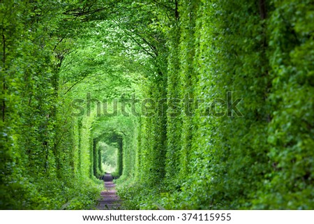 Wonder of Nature - Real Tunnel of Love, green trees and the railroad,  Ukraine.