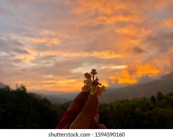 So I Wonder Whats Up With Nature. I Have Been Literally Found To Be Staring At Skies For Like Hours.so Pretty You Cant Like Take Your Eyes Off. I Get Scared ,did I Miss A Moment To Watch It.