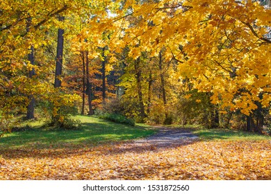 Wonderful autumn landscape with beautiful yellow and orange colored trees