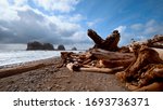 The wonderful beach of La Push at the Quileute Reservation