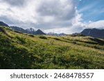 Wonderful blooming orange flowers and vivid orange tent on grassy hill in sunlight against snow mountain range silhouette. Colorful amazing scenery with lush alpine flora on sunlit flowering meadow.