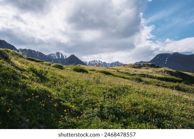 Wonderful blooming orange flowers and vivid orange tent on grassy hill in sunlight against snow mountain range silhouette. Colorful amazing scenery with lush alpine flora on sunlit flowering meadow.