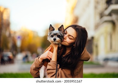 Wonderful Closeup Photo Of A Happy Dog-owner Female Hugging Her Little Puppy - Yorkie. City Street On The Blurred Background.