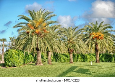 Wonderful colors of Florida, USA.