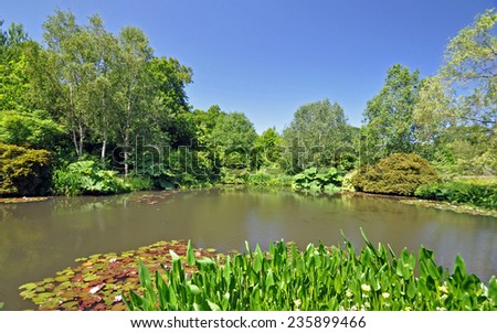 A wonderful English garden wth picturesque informal lake at RHS Rosemoor, Torrington, Devon, England.