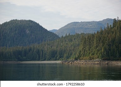 Wonderful Forest Landscape In Juneau, Southeast Alaska.