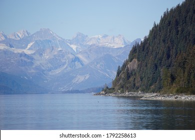 Wonderful Forest Landscape In Juneau, Southeast Alaska.