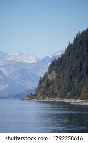 Wonderful Forest Landscape In Juneau, Southeast Alaska.