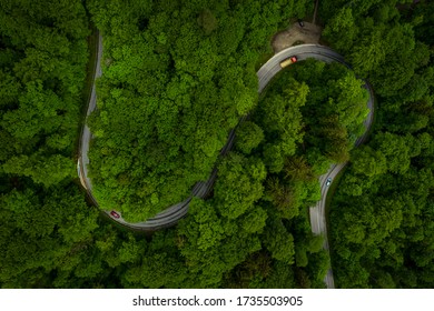 Wonderful green forest with a curvy road and cars from a top view drone shot, aerial of an s curve background which implicates fun of driving or take a trip through the nature.