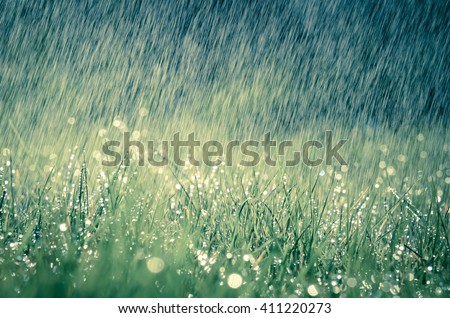 Wonderful heavy rain shower in the sunshine of springtime or summer enjoy the relaxing nature