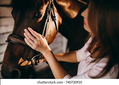 Wonderful lady with brown horse in the stables