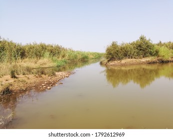 518 Draa river Images, Stock Photos & Vectors | Shutterstock