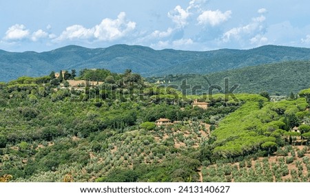 Wonderful landscape surrounding the village of Castagneto Carducci, in the Province of Livorno, Tuscany, Italy.