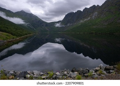 Wonderful landscapes in Norway. Senja, Nordland. Beautiful scenery of a valley with lupine flowers on the rocks. Mirror in the lake. Cloudy summer day. Fog and mountains in background. Selective focus