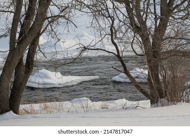 Wonderful Late Winter River Scene With Beautiful Leafless Tree