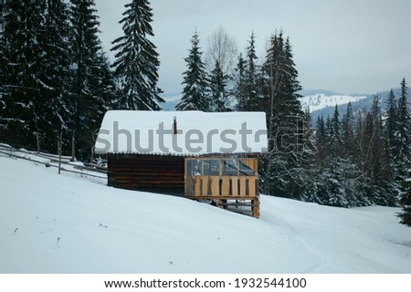 A wonderful little house in the woods, covered with snow.
