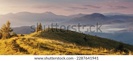 Wonderful morning landscape in the mountains. Amazing view on grassy hils under sunlight and foggy mountains during sunrise. Stunnig nature landscape. Concept of an ideal resting place. wallpaper 
