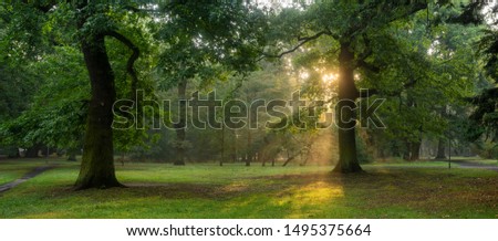 Similar – Image, Stock Photo Summer Sunny Forest Trees, Green Grass, Lane, Path, Pathway. Nature Wood Sunlight.