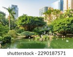 Wonderful morning view of Bird Lake at Kowloon Park in Hong Kong. Awesome cityscape. Hong Kong is a popular tourist destination of Asia.