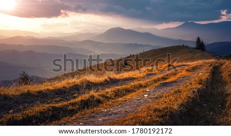 Wonderful mountain nature scenery in summer.  Amazing mountain landscape, misty morning scene. Road on high grassland during colorful sunset. Stunning natural background. Picture of Wild area.
