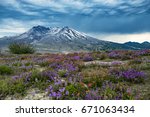 Wonderful Mt Saint Helens panorama view with wildflowers in summer time.