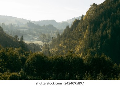 Wonderful nature scenery with forested rolling hills and green grassy meadows in morning light. Wanderlust travel concept - Powered by Shutterstock