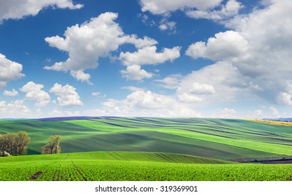 Wonderful Panoramic View Of Fields In Beautiful Colorful And Striped Hills, Super Big Size