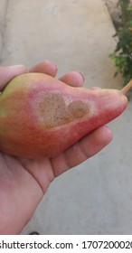 una pera maravillosa con un punto en forma de corazón.