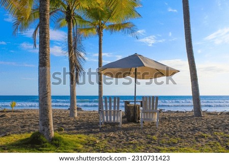 Wonderful place to rest. Umbrella and wooden deckchairs among palm trees on the coast of Pacificocean 