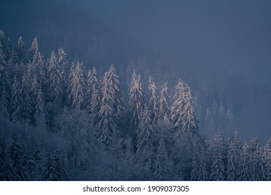 Wonderful Pretty Winter Scene In The Mountains