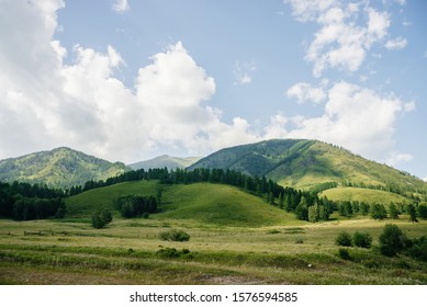 Wonderful scenic landscape to beautiful green mountains with trees in sunny day. Vivid summer scenery with forest hills in sunlight. Picturesque mountains with greenery and woods under blue cloudy sky
