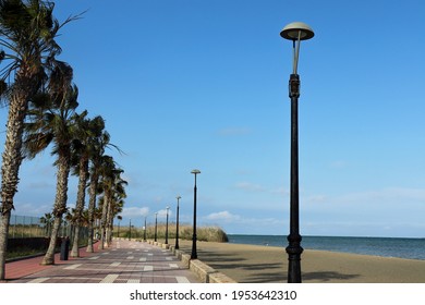 Wonderful Sea Side Road With Palm Trees And Beach In The Sides. Blue Sky. Street Lamp Post. Dark Blue Water Beach. Los Alcázares, Murcia, Spain.