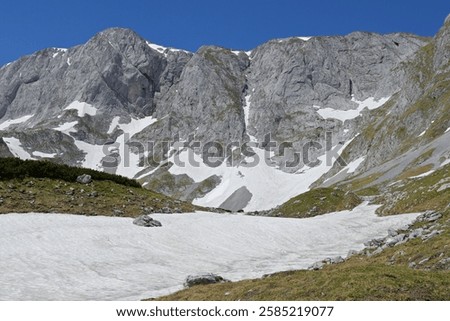 Similar – Image, Stock Photo spring last snow Spring
